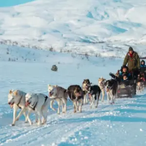 Manawa: Save 10% OFF Any Order with Sign Up