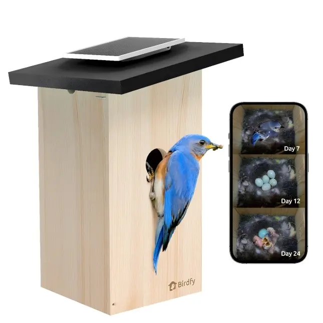 Birdfy 户外太阳能智能鸟屋
