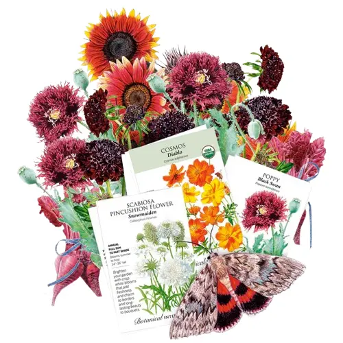 Botanical Interests: Up to 25% OFF Sale Items