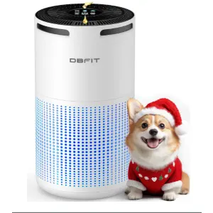 DBFIT H13 HEPA 空气净化器