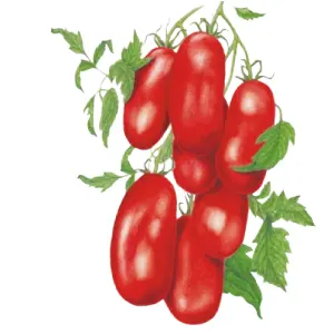 Botanical Interests: Shop Vegetable Seeds as low as $2.69