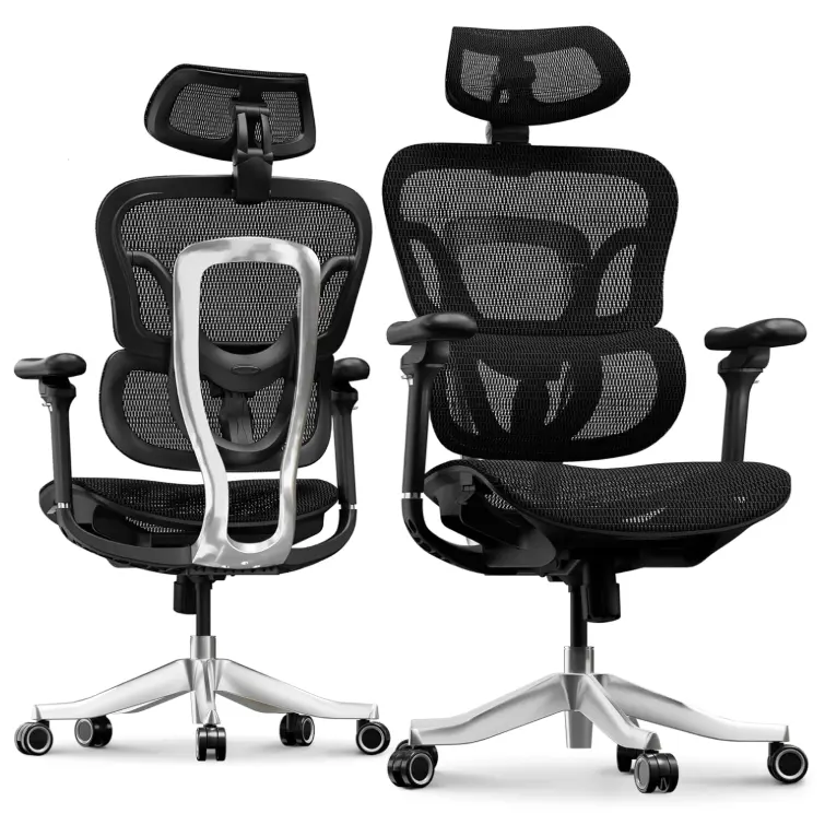 FLEXISPOT ErgoX Max 人体工学办公椅（黑色）