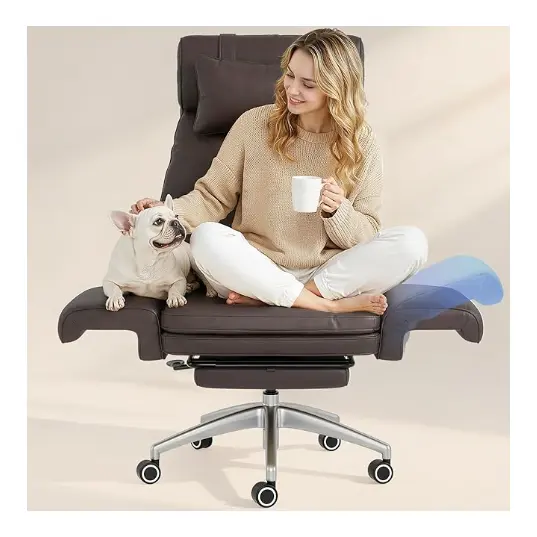FLEXISPOT Big and Tall Office Chair for Heavy People Pets