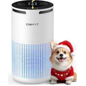 DBFIT 家用大空间空气净化器