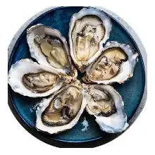 All Fresh SeaFood: Sale Items Get up to 25% OFF