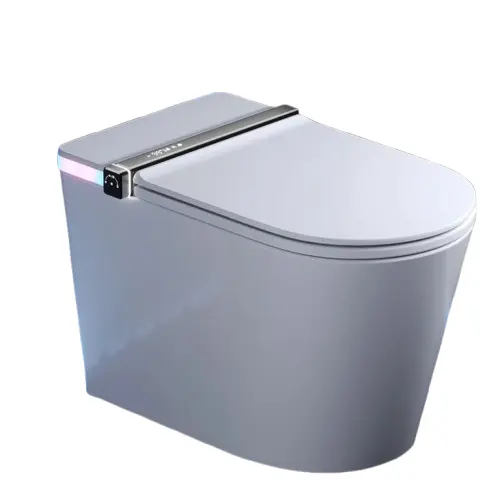 DeerValley 豪华智能马桶