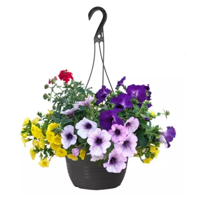 Tractor Supply：精选庭院&园艺用品低至7.5折起