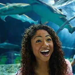FloridaTix: SeaWorld Parks Single Visit Ticket from £65