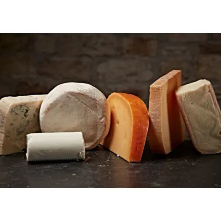 Pong Cheese: Sign Up and Get 50% OFF Your First Box