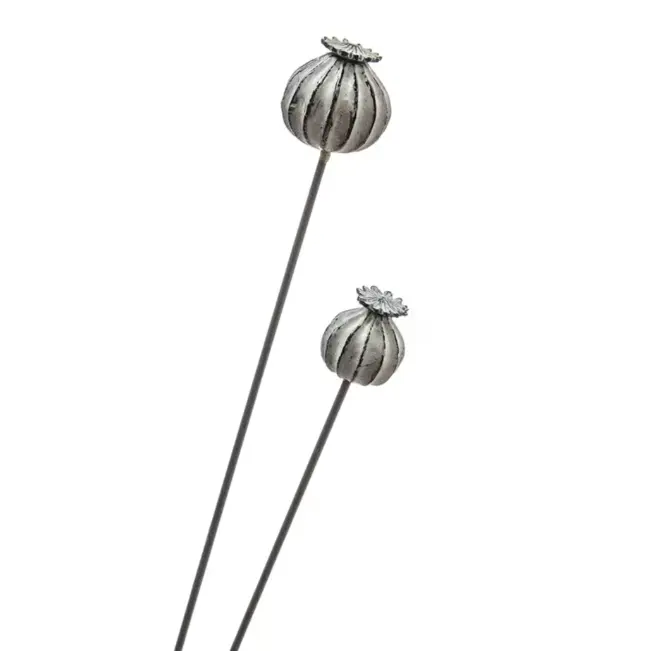 Crocus: 15% OFF Crocus Collection