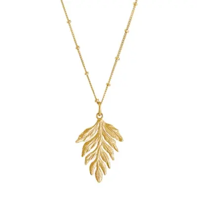 Catherine Zoraida UK: 15% OFF All Orders