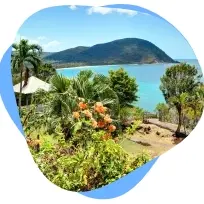 Air Caraïbes：巴黎往返皮特尔角价格低至598€