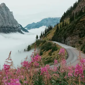 Roadtrippers.com：开启7天免费试用