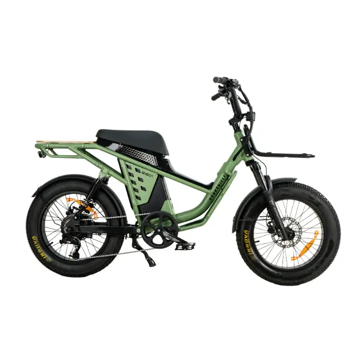 electripet: Adventure-Ready 750W Fat Tire E-Bike Get 70% OFF