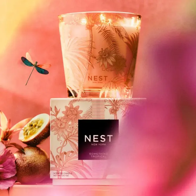 Nest 热带风情三芯蜡烛