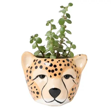 Oliver Bonas Ltd: All Homeware as low as £1.5