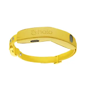 Halo Collar: Save Up to $200 OFF Collars