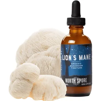North Spore: 20% OFF All Functional Wellness Products