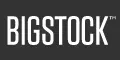 Código Promocional Bigstock