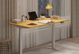 Flexispot Code Promo